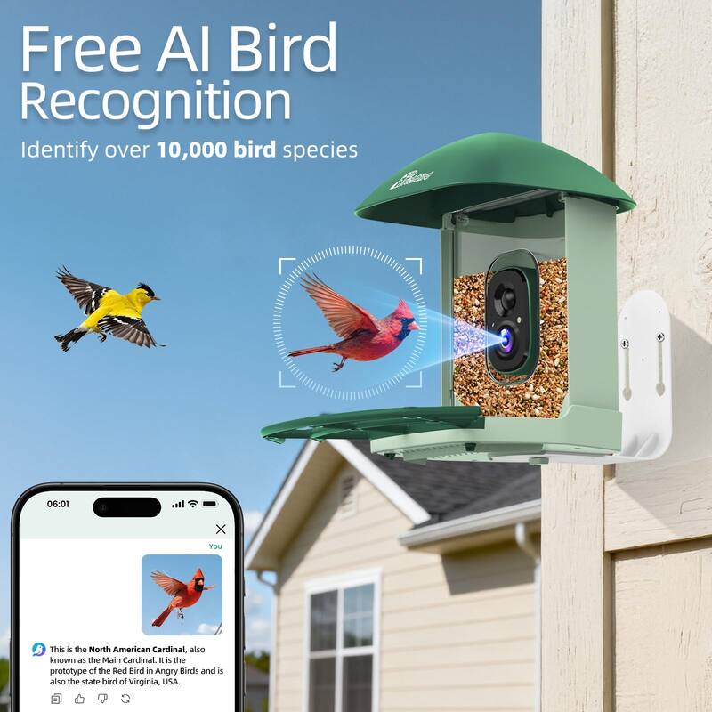 Smart Solar Bird Feeder with Camera and Interactive App