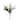 Set of 6 Cream White Artificial Tulip Flower Stem Bush Bouquet 12in - 12" L x 5" W x 5" DP