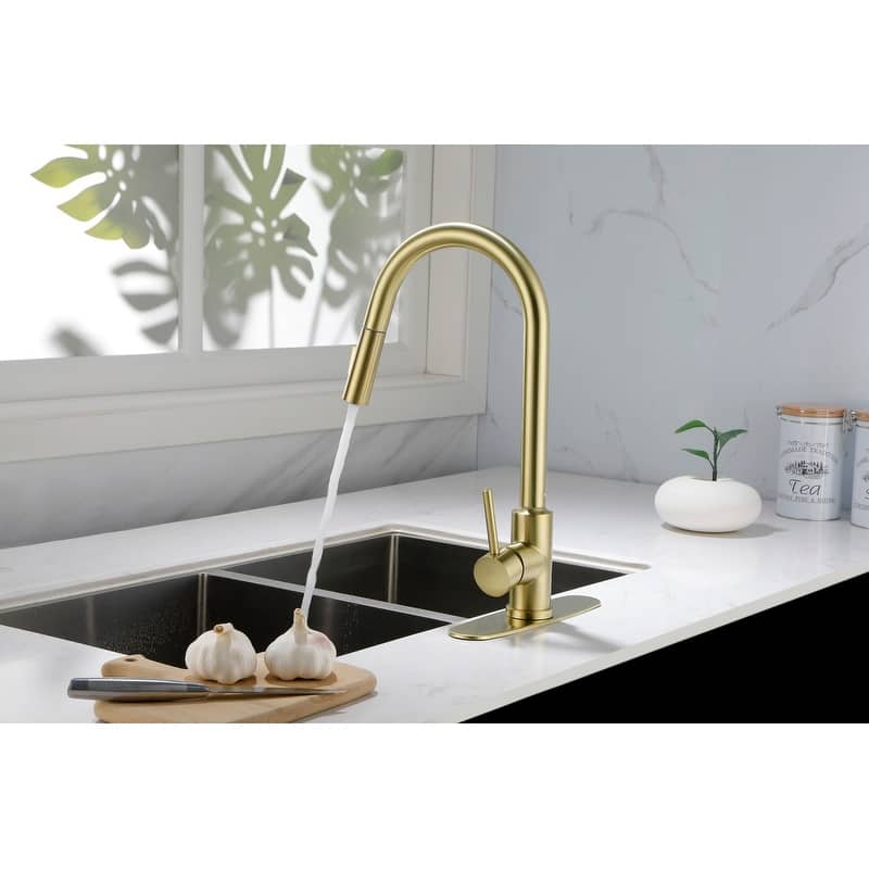 Kitchen Faucet with Pull Down Sprayer