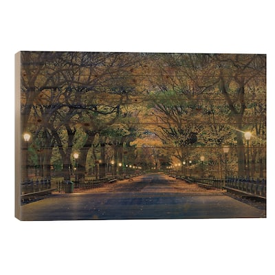 Central Park Magic Print On Wood by David Gardiner - Multi-Color
