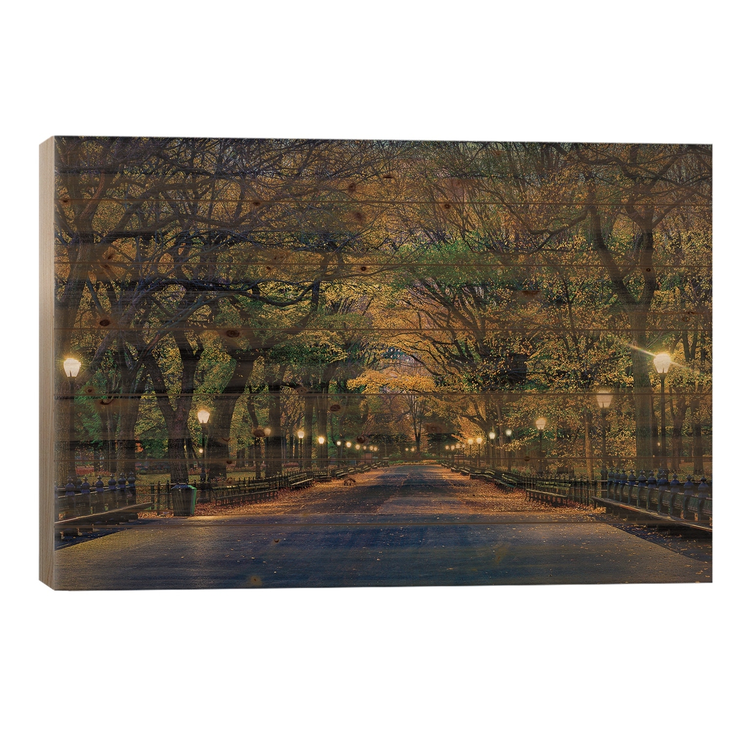 Central Park Magic Print On Wood by David Gardiner - Multi-Color