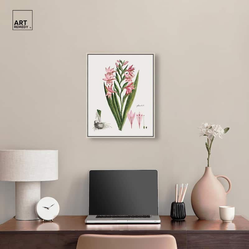 Gladiolus Carneus Canvas by Art Remedy