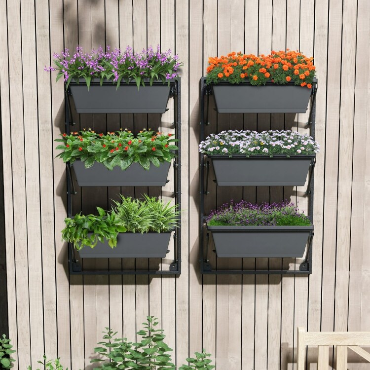 planting hydroponic Foody 12 Hydroponic System