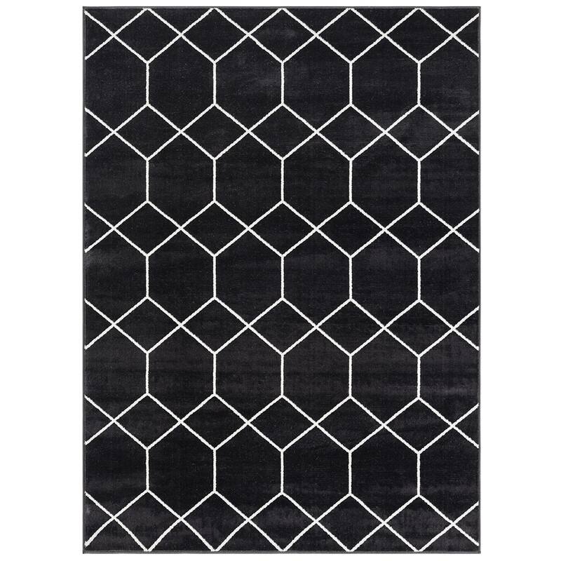 Trellis Geometric Woven Area Rug - 8'x10'