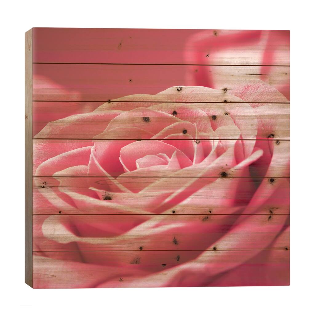 Pink Rose I Print On Wood by PhotoINC Studio - Multi-Color