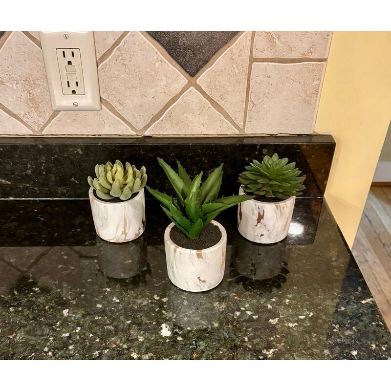 5" Succulent in 4" Faux Marble Cement Pot, Set of 3 - Green - 5