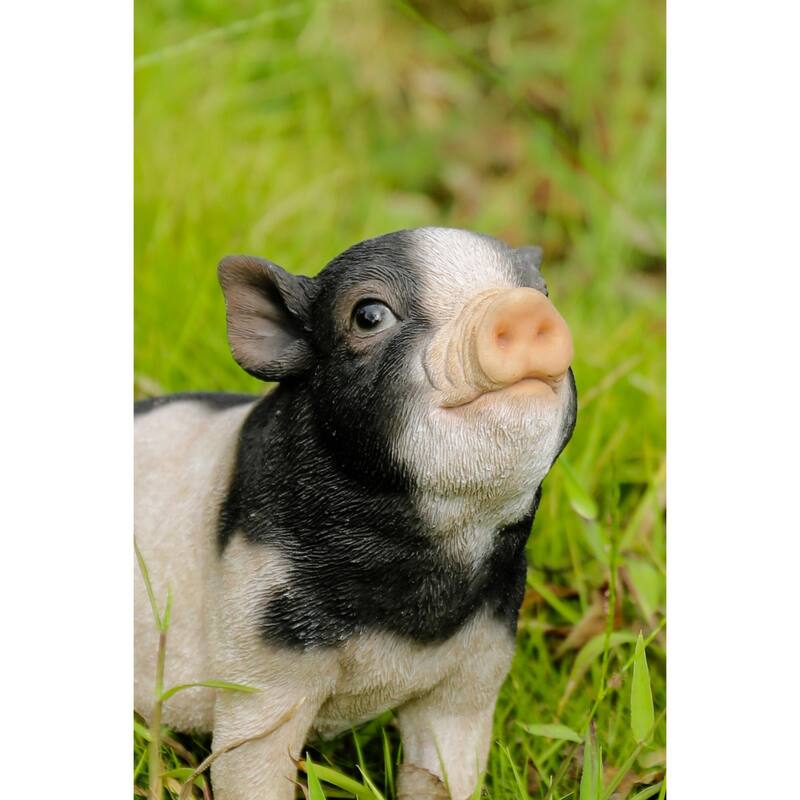 Sitting Baby Piglet Outdoor Garden Statue - Black - 6.25"