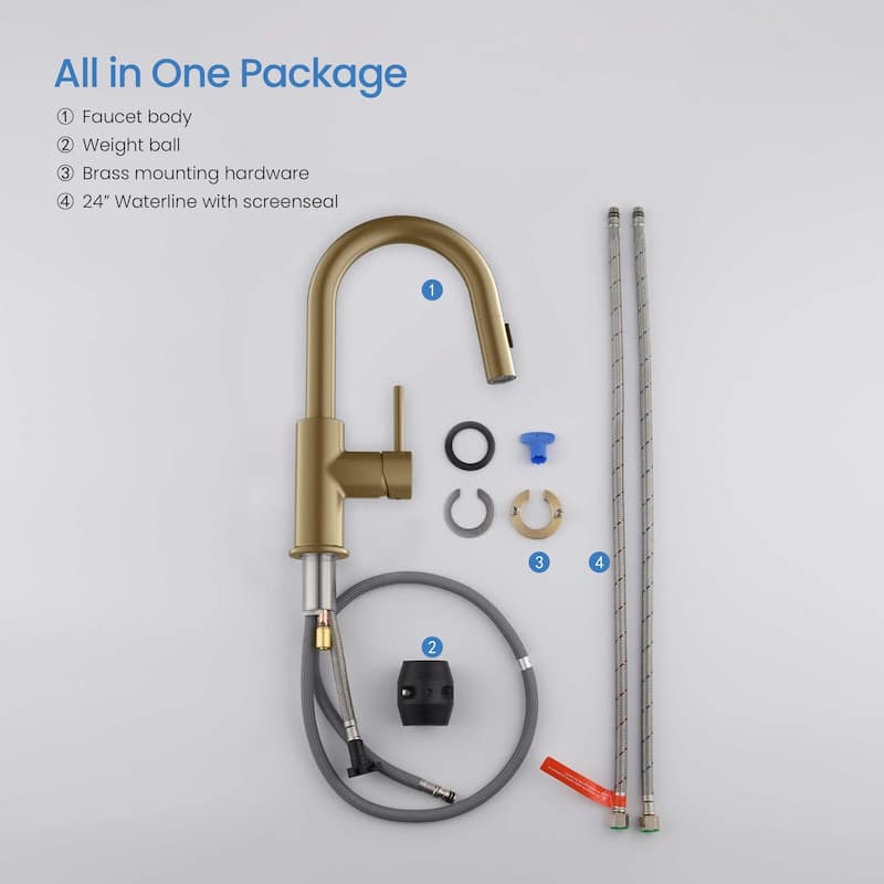 Single-Hole Pull-Down Kitchen Faucet with Sprayer and Magnetic Docking