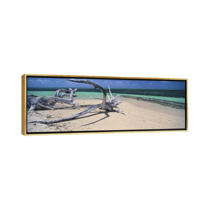 iCanvas "Driftwood on the beach, Green Island,Great Barrier Reef, Queensland, Australia" by Panoramic Images Framed Canvas Print - 16x48 - Gold