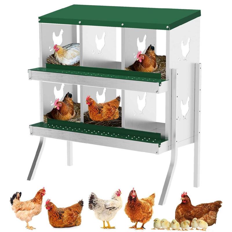 Chicken Nesting Boxes with Roll Out Egg Collection and Legs - Green 6 Compartments