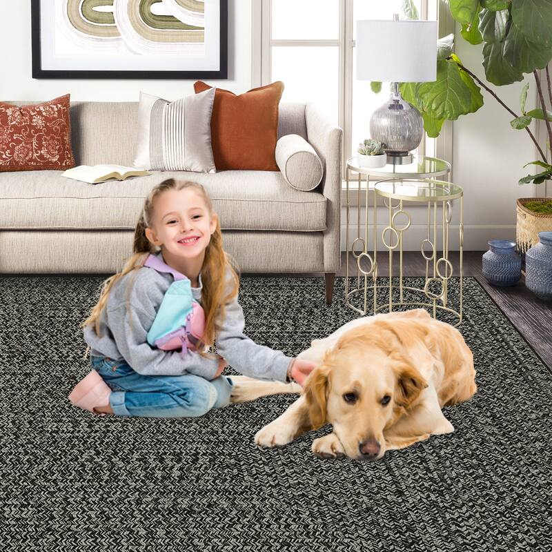 Modern Braided Print Rug Washable Area Rugs for Living Room Bedroom