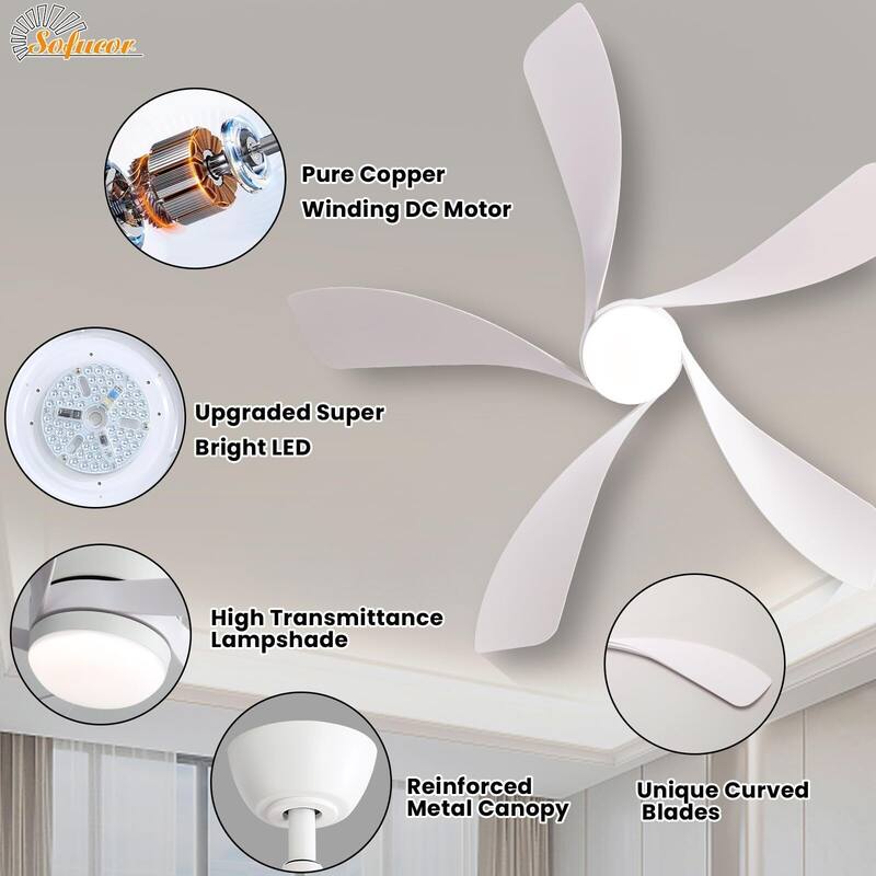 52 Inch Ceiling Fan with Remote & Lights Quiet DC Motor 5 Blade High CFM Modern Fan