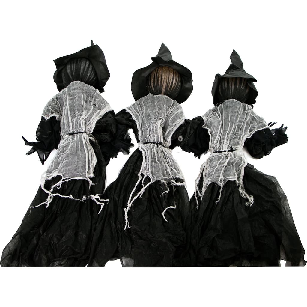Haunted Hill Farm Lawn Decor Witches, Outdoor Halloween Decoration, Light-Up White, Hanging Option