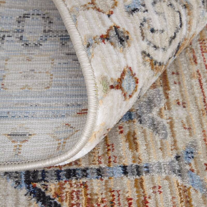 Melrose R39NZ Distressed Transitional Area Rug