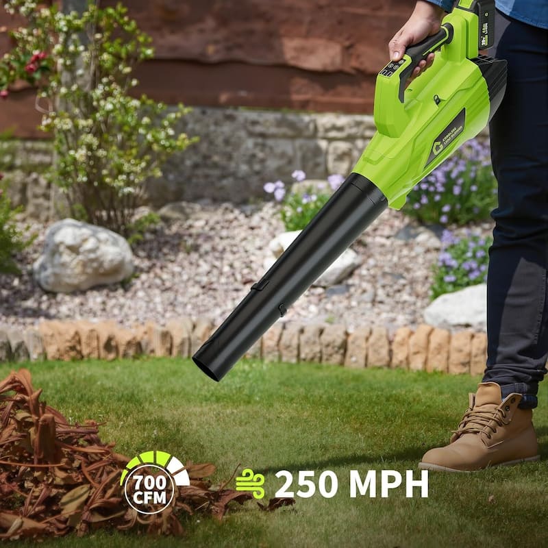 2 Speed 700CFM 250MPH Cordless 20V Electric Leaf Blower for Lawn Care, Blowing Leaves, Patio, Dust - N/A