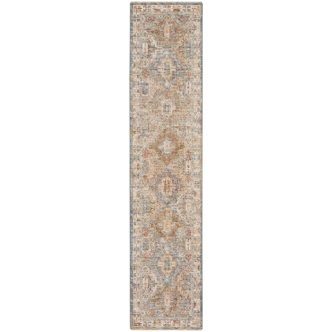 Nourison Petra Traditional Vintage Persian Area Rug