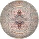 preview thumbnail 21 of 23, Brooklyn Rug Co Distressed Persian Sarita Area Rug