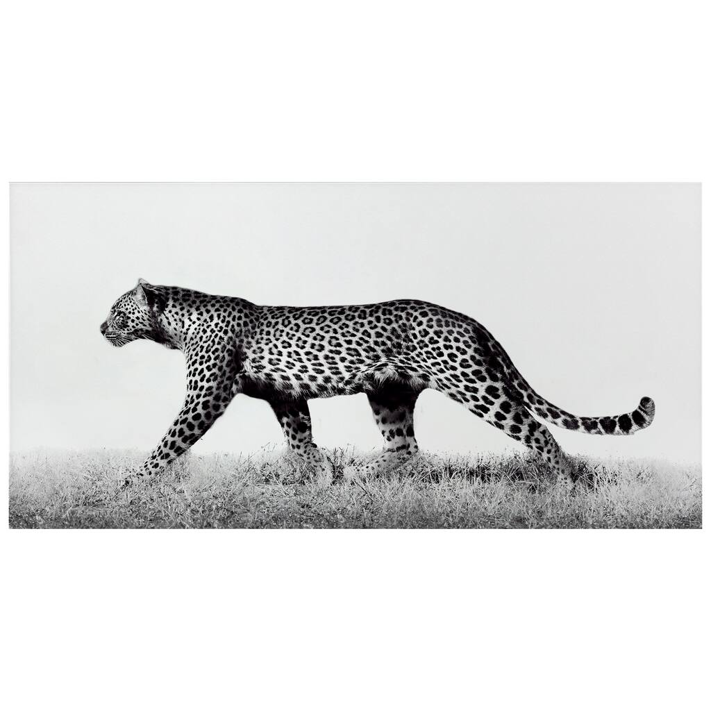 "Fearless Leopard 2" Frameless Free Floating Tempered Glass Panel Graphic Wall Art