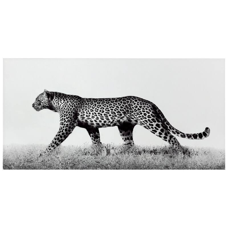 "Fearless Leopard 2" Frameless Free Floating Tempered Glass Panel Graphic Wall Art