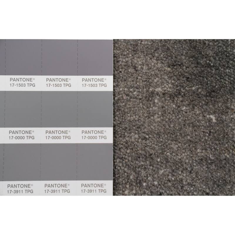 Hand Knotted Oriental 100% Wool Carpet Tribal Animal Pictorial Greys & Charcoal Gabbeh Area Rug - 8' 0'' X 6' 0''