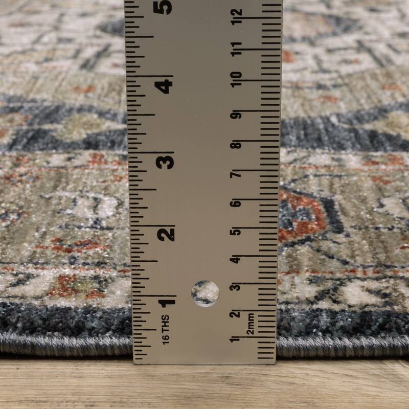 Esme Traditional Center Medallion Area Rug