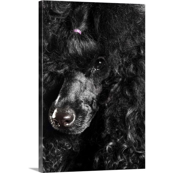 https://ak1.ostkcdn.com/images/products/is/images/direct/251ea7b5da0f1199561a9aca98c3206bb8de47f3/%22Black-Poodle%22-Canvas-Wall-Art.jpg?impolicy=medium