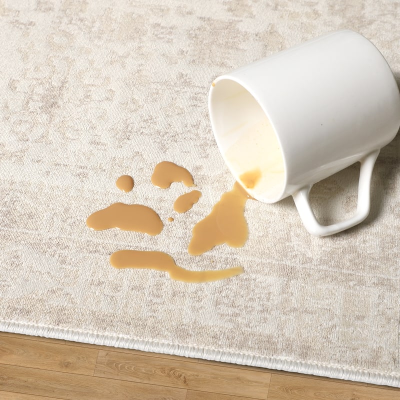 Alis Transitional Medallion Washable Indoor Area Rug by Sevita