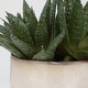 preview thumbnail 3 of 2, Uttermost 60213 Doha 10-1/2" Tall Ceramic Faux Flora Planter - Beige