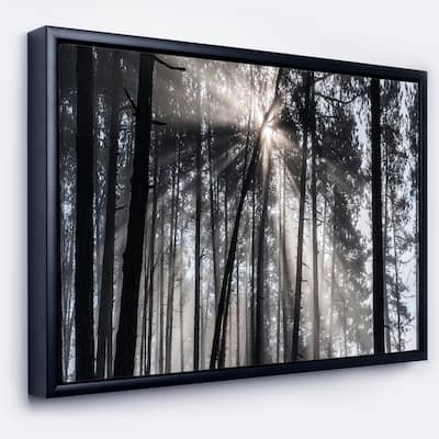 Designart "Sunbeams through Black White Forest" Forest Framed Canvas Wall Art Print