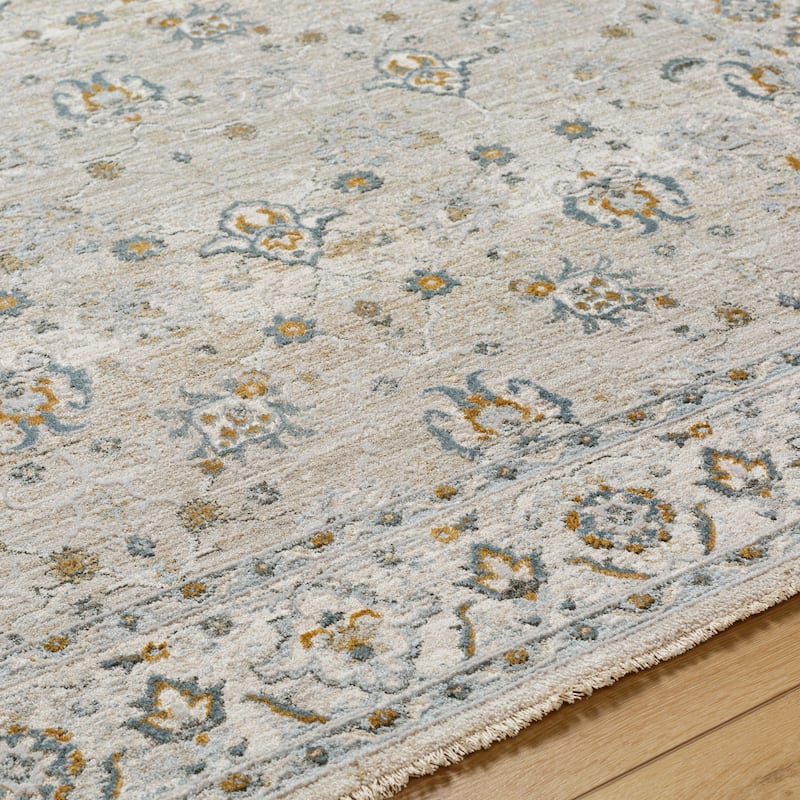 Livabliss Dresden Transitional Area Rug