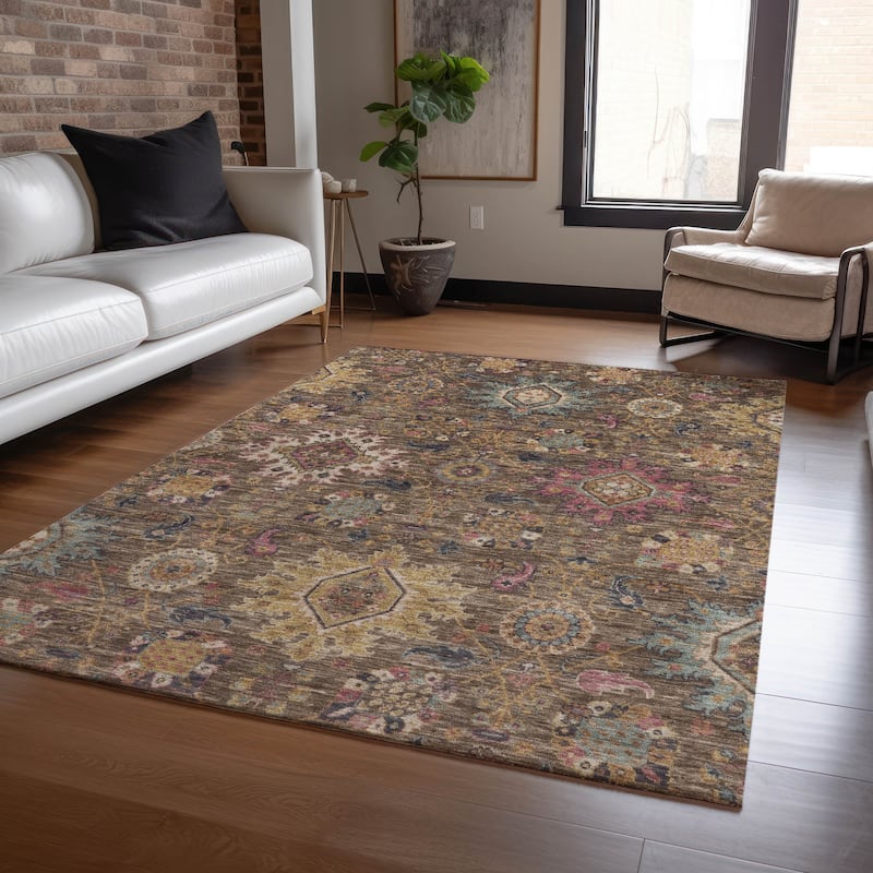 Machine Washable Indoor/Outdoor Boho Traditional Chantille Rug
