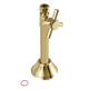 Option Polished Brass