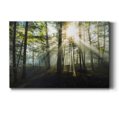 Light and Trees Premium Gallery Wrapped Canvas - Ready to Hang