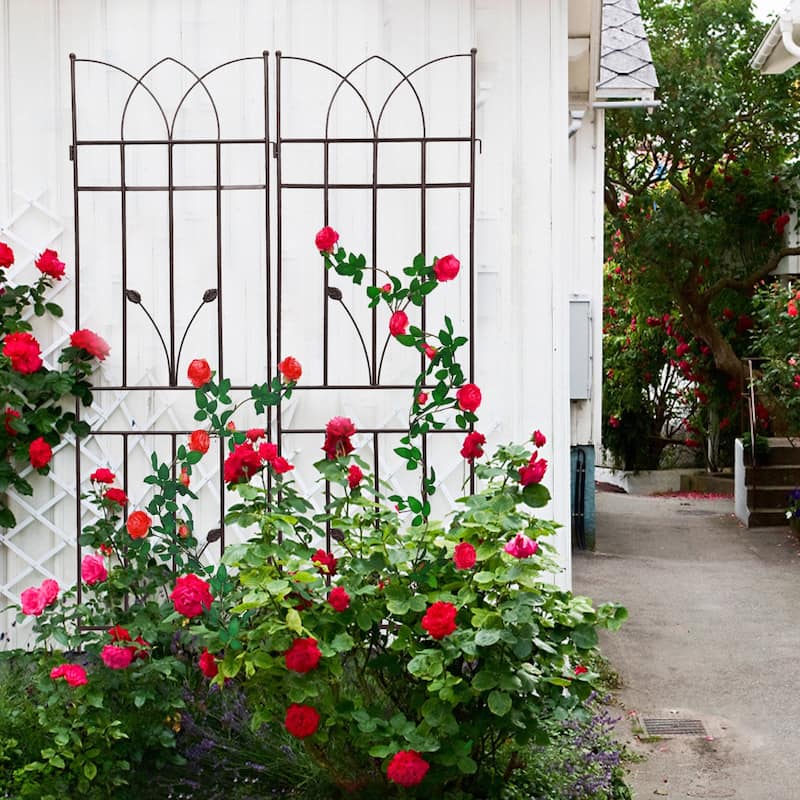 4 Pack Metal Garden Trellis 71" x 17.7" Rustproof Trellis