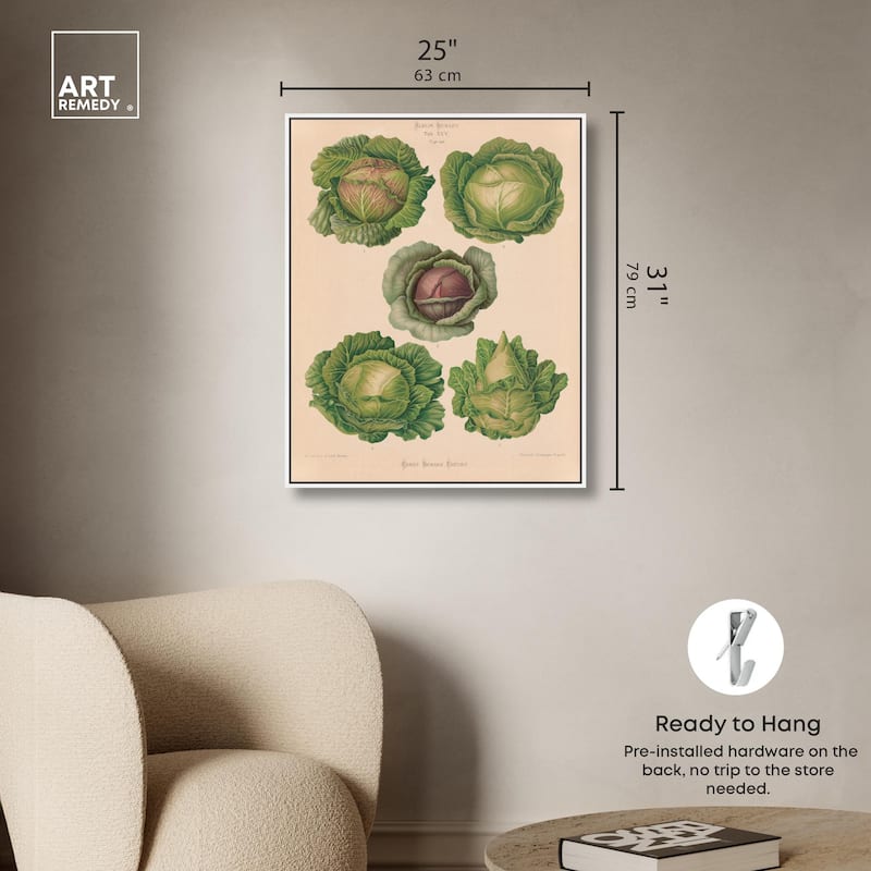 Cabbages by Benary 1876 Canvas by Art Remedy