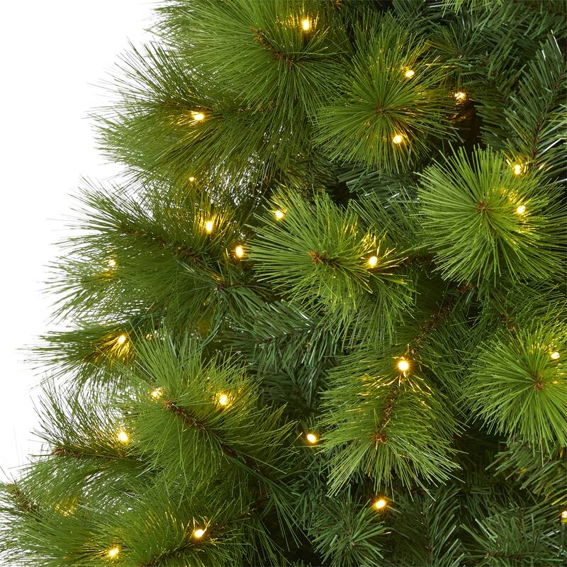 7.5' Green Scotch Pine Christmas Tree with 550 Clear LED Lights