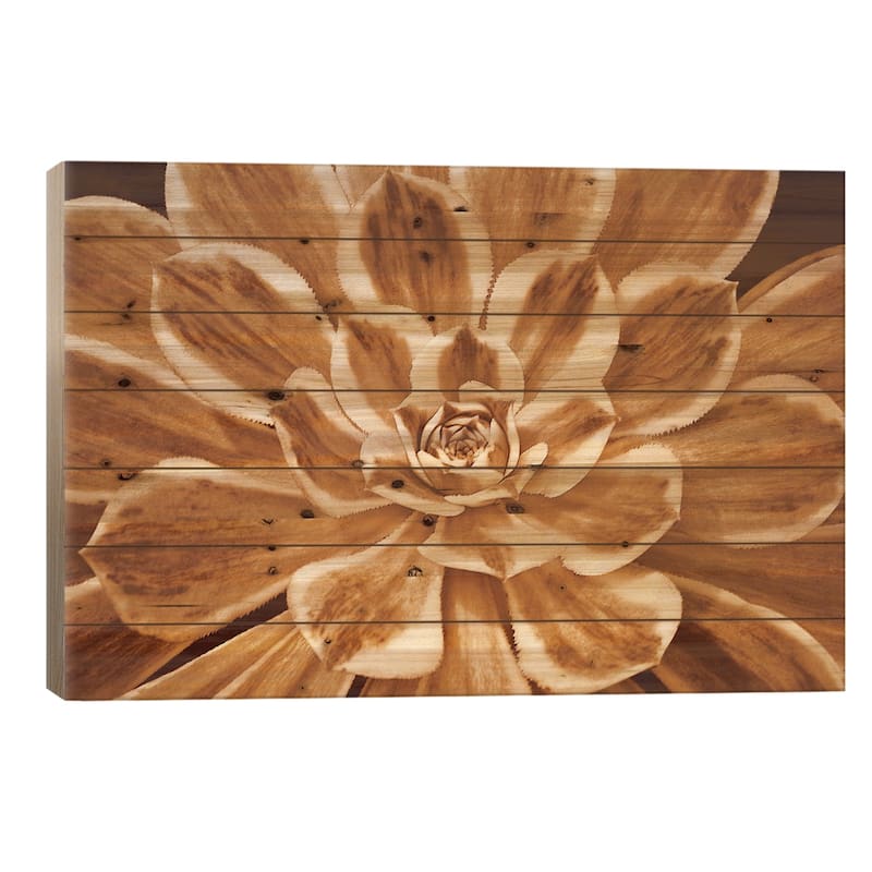 Sedona Print On Wood by Caroline Kelly - Multi-Color - 18x26x1.5