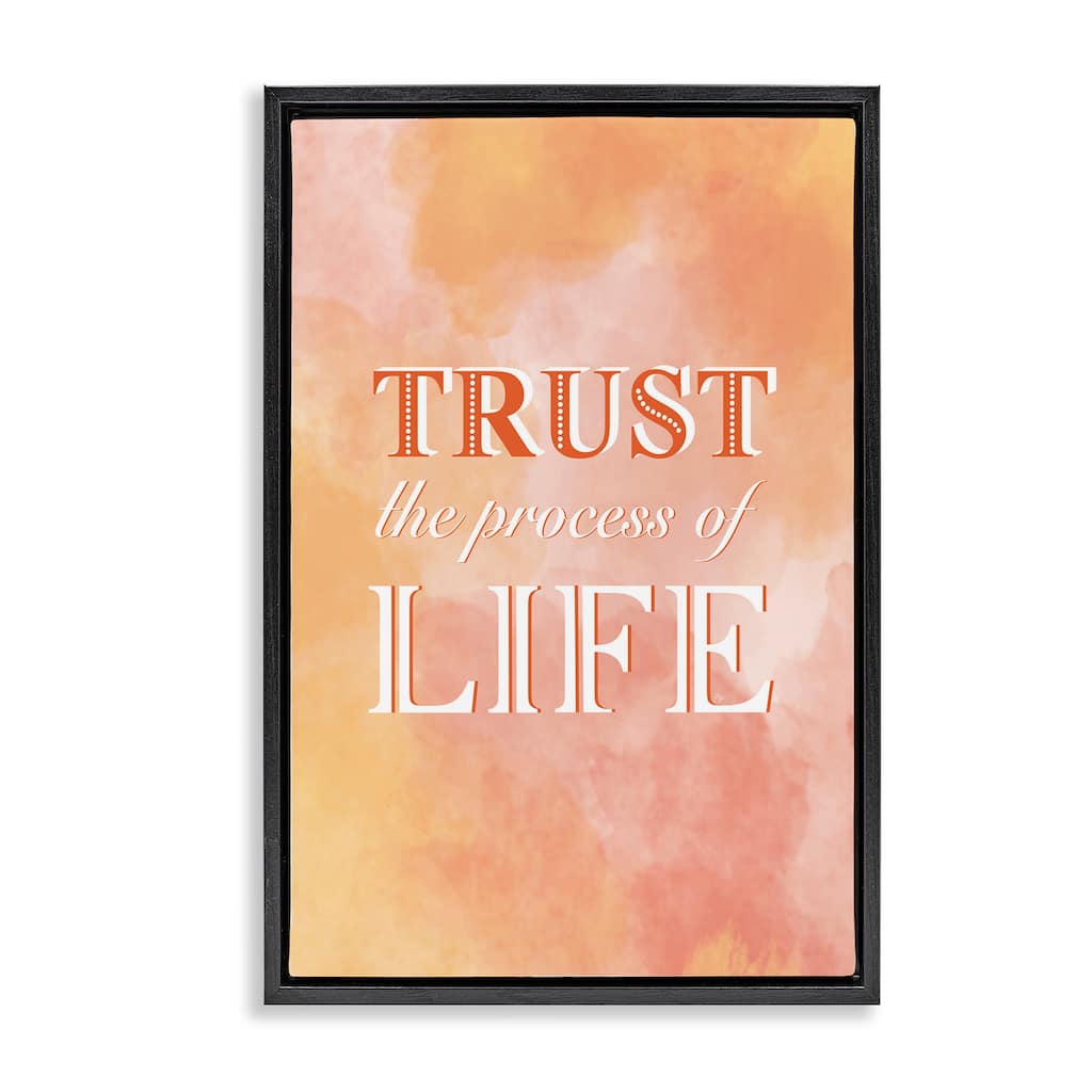 Stupell Trust The Process Of Life Framed Floater Canvas Wall Art Design By Martina Pavlova