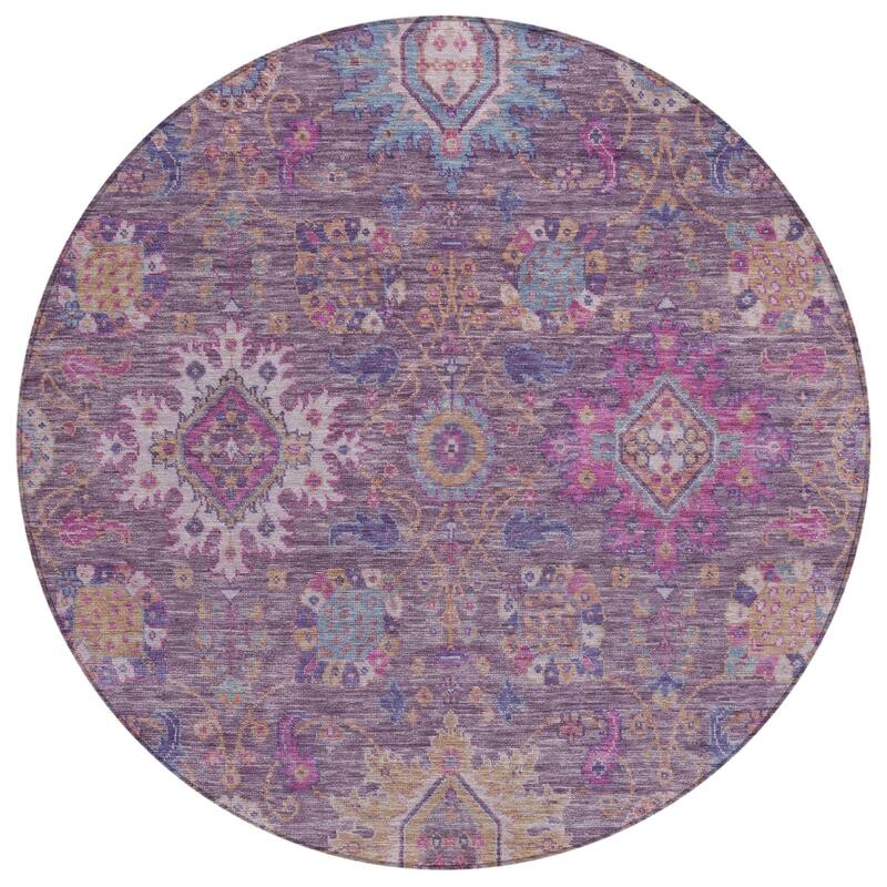 Machine Washable Indoor/Outdoor Boho Traditional Chantille Rug