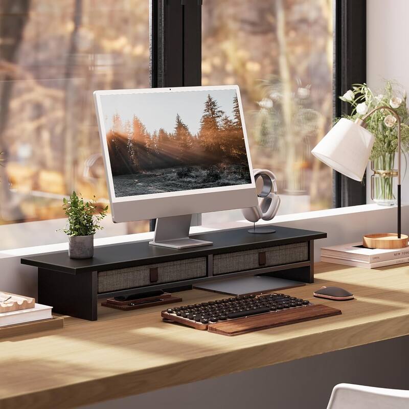 Fenge Dual Monitor Stand, 2 Tiers Monitor Riser for Desk