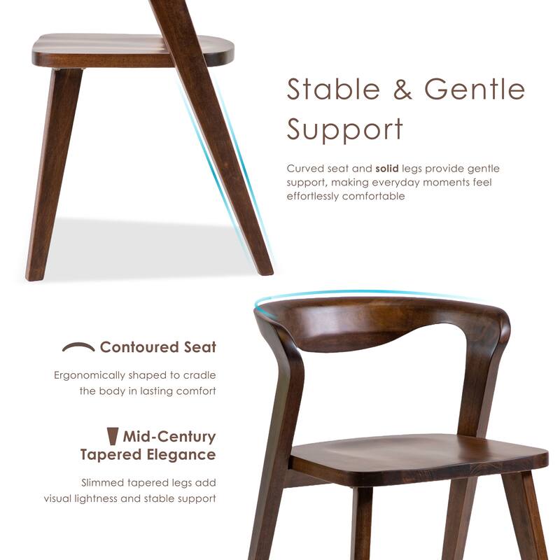 Furniture of America Abigail XIV Mid-Century Modern 5-Piece Walnut Solid Wood Extendable Dining Set with Side Chairs