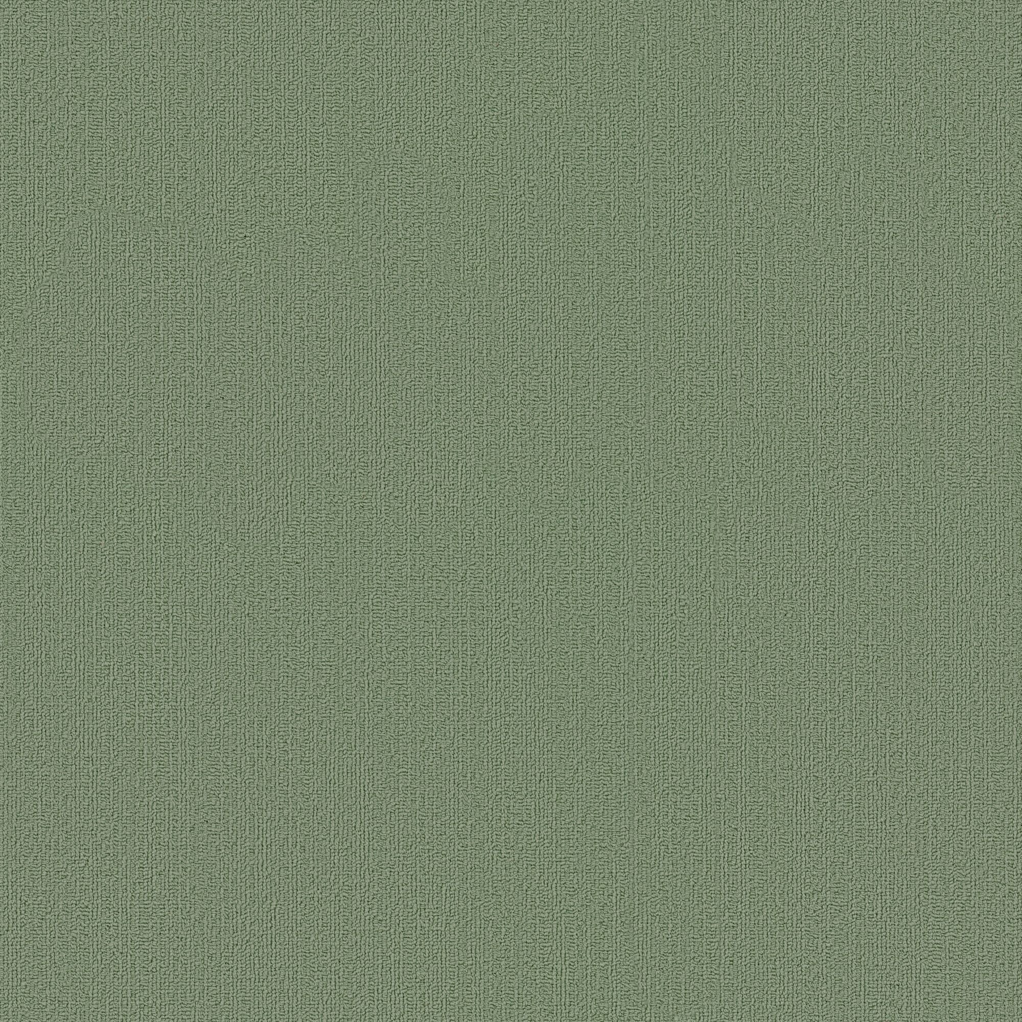 Shaw Philadelphia Commercial Color Accents TL 24" x 24" Glue Down