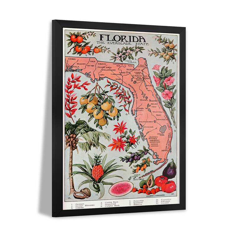 State Map of Florida (Natural Resources) - Vintage Poster Premium Framed Poster by Unknown Artist
