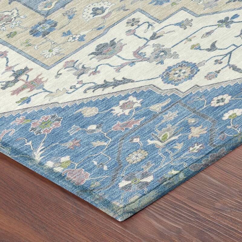 Machine Washable Indoor/ Outdoor Traditional Kolkata Chantille Rug