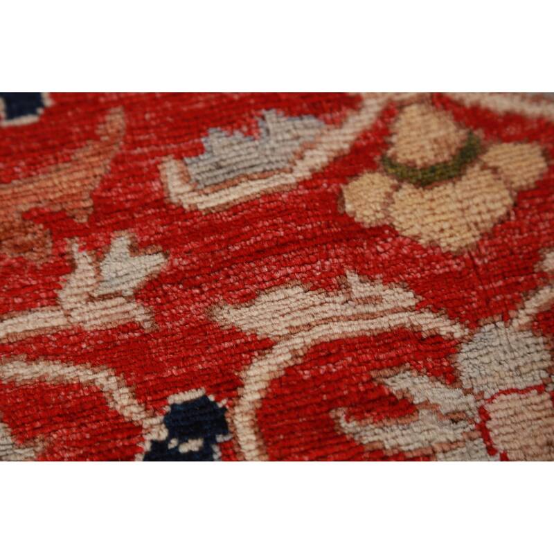 Vegetable Dye Floral Ziegler Oriental Area Rug Handmade Wool Carpet - 9'3"x 11'11"