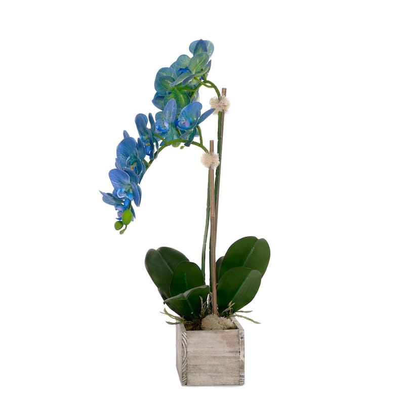 Blue Orchid Flower Arrangement in White Wash Wood Pot