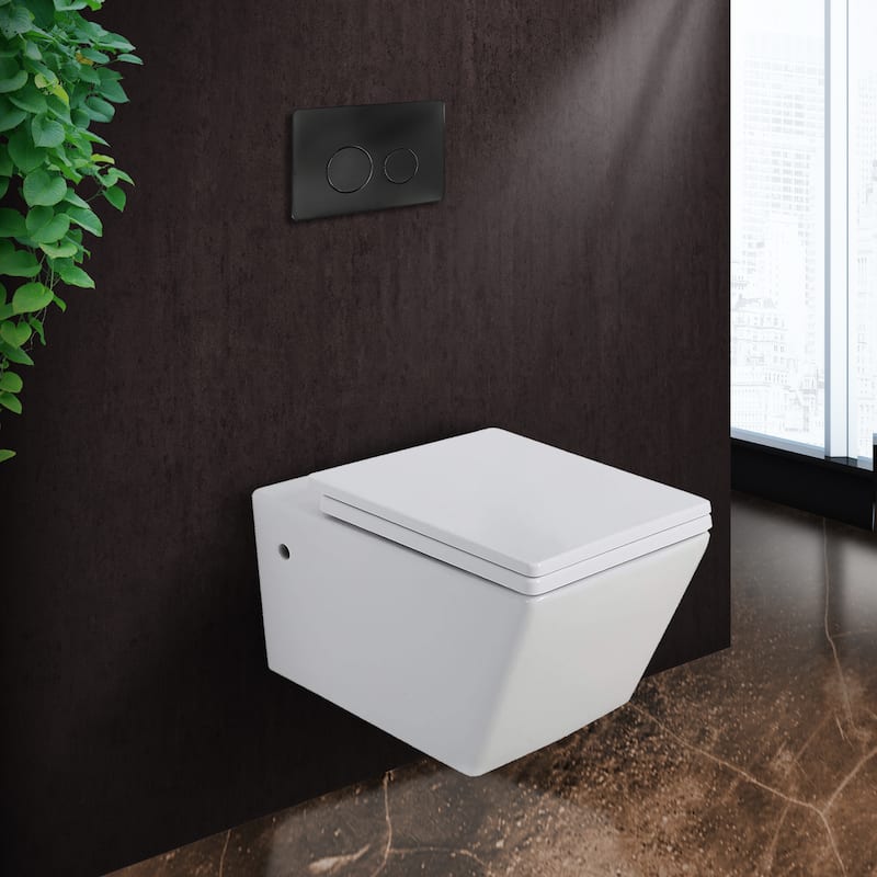 Toilet Combo Set - Toilet Bowl With Soft-Close Seat, 2"x 4" Concealed Tank And Carrier System, Push Buttons Included.