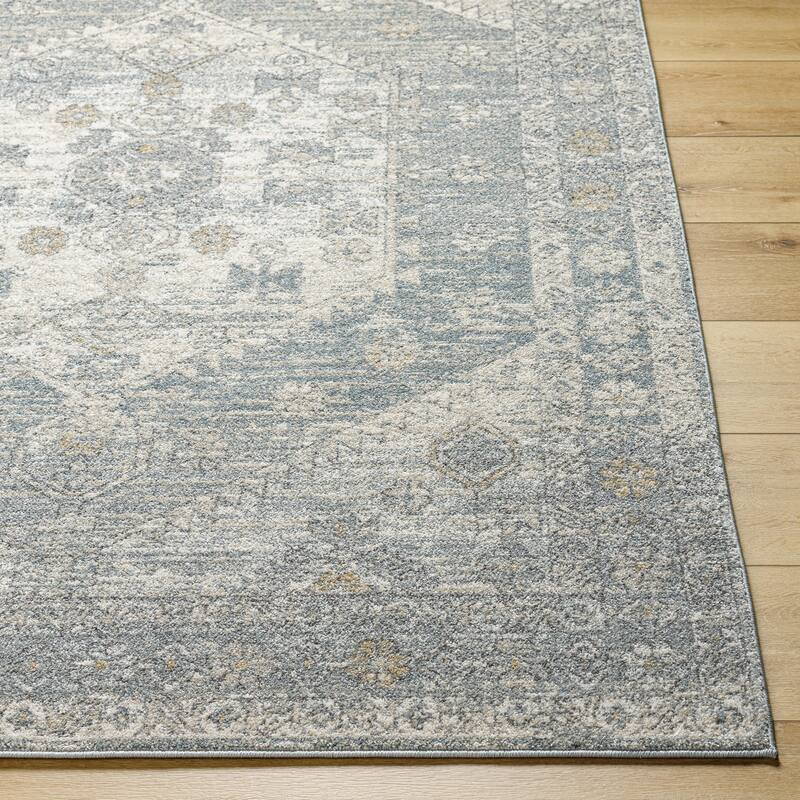 Livabliss Alpharetta Vintage Border Area Rug