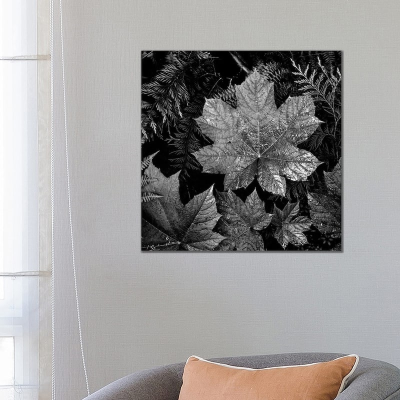 iCanvas "In Glacier National Park XXIII" by Ansel Adams Canvas Print - 26x26x1.5