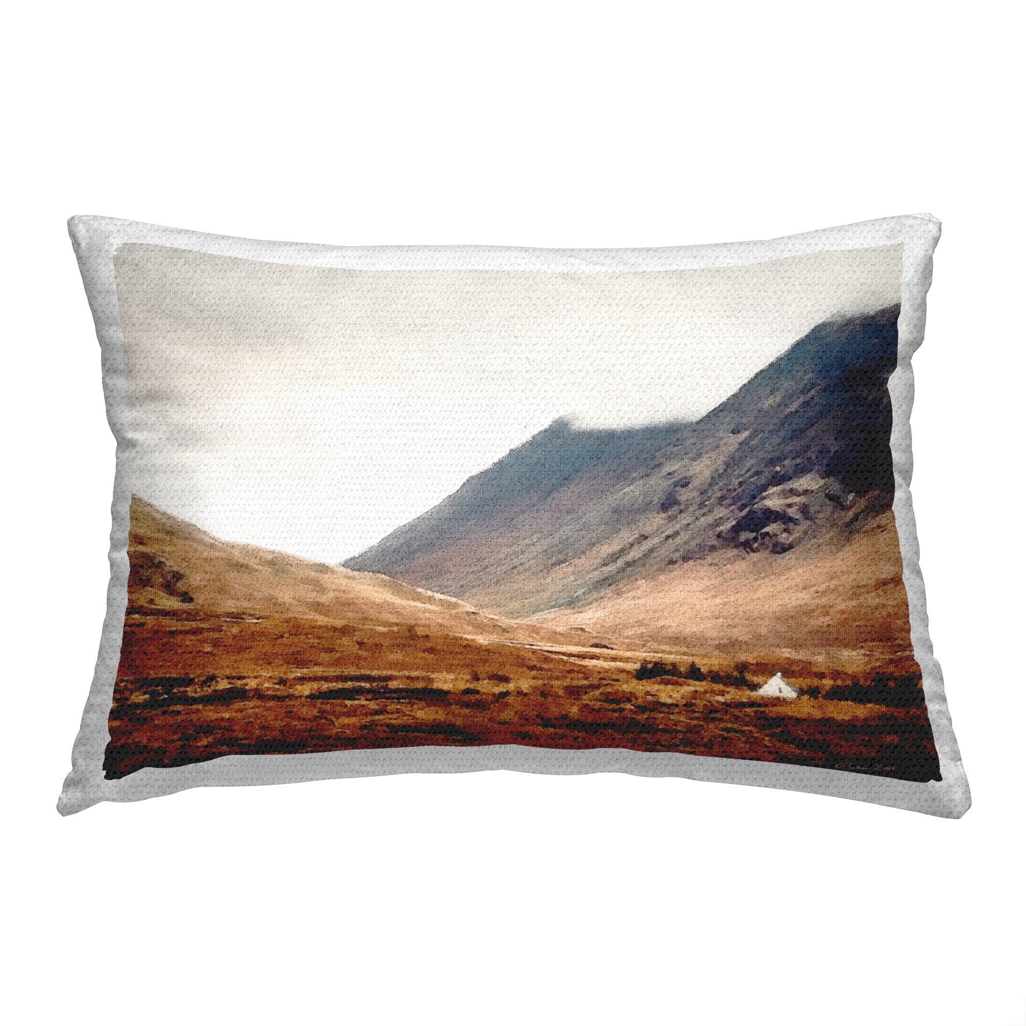 Stupell Mountain Valley Cabin Printed Outdoor Throw Pillow Design by Susan Ball